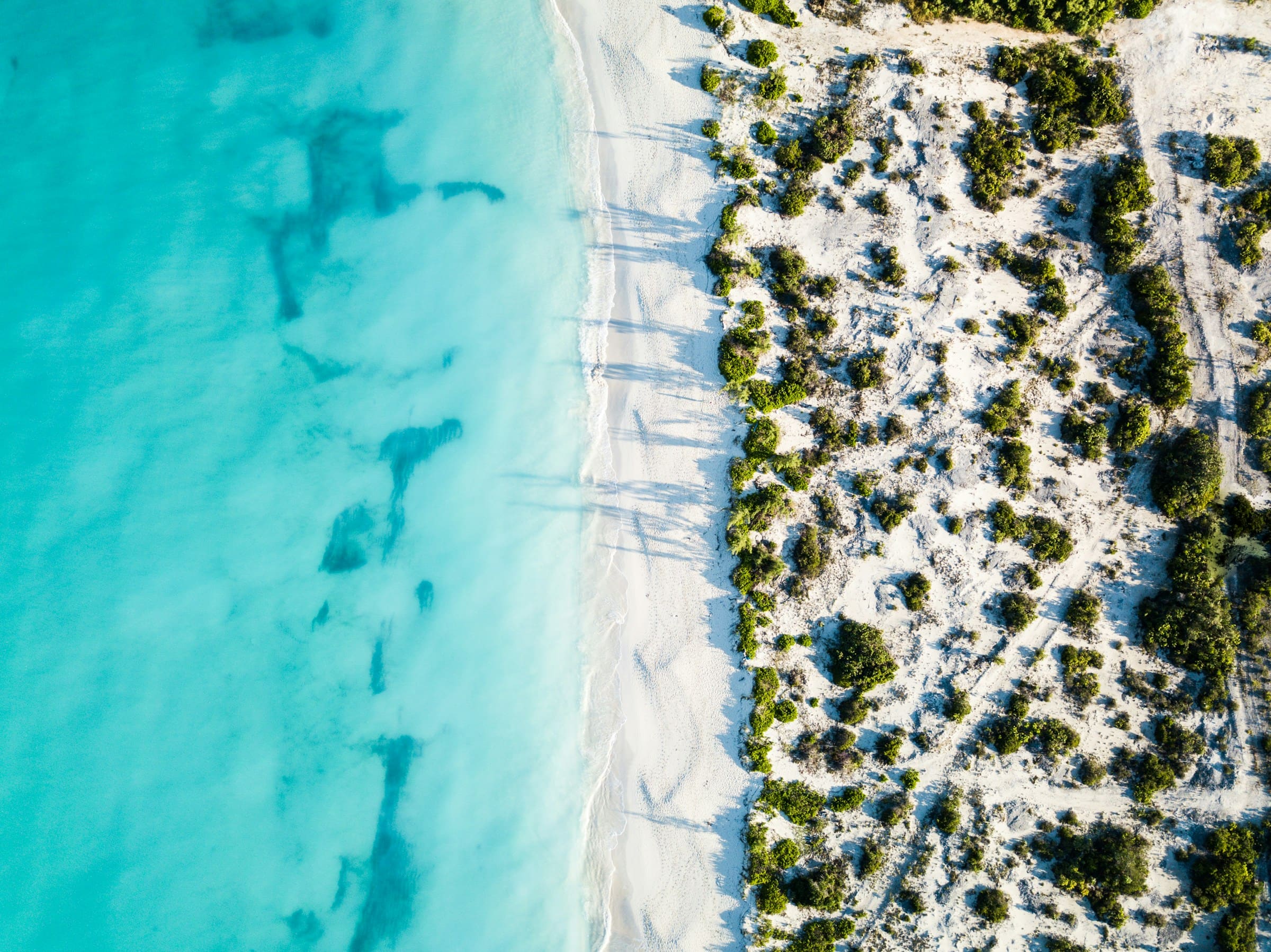 An empty Caribbean shoreline from directly above, turquoise shallows meeting white sand and low scrub.